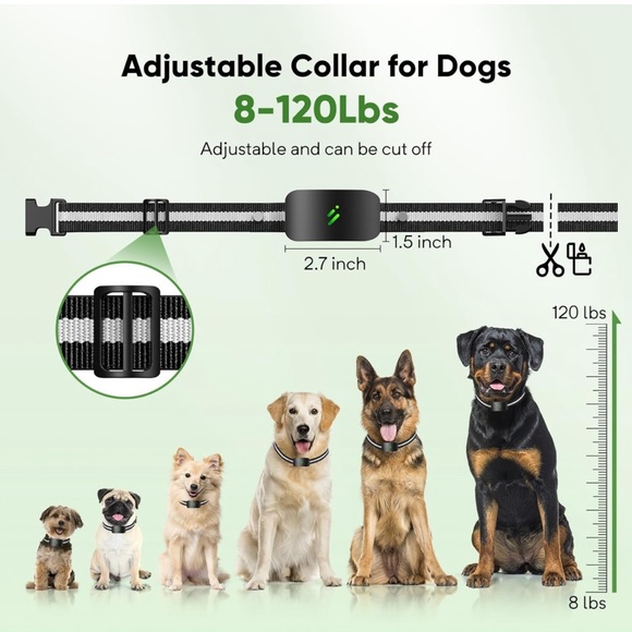 Dog Shock Collar with 10 Levels Beep for Large Medium Small Dogs (8-120Lbs) - Picture 9 of 12